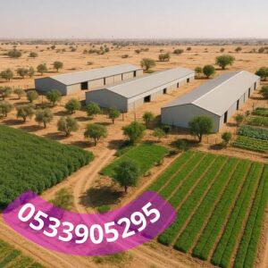 ما هو الساندوتش بانل